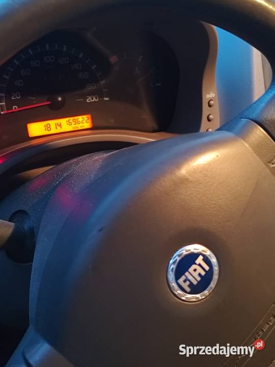 Fiat panda Panda Kalsko
