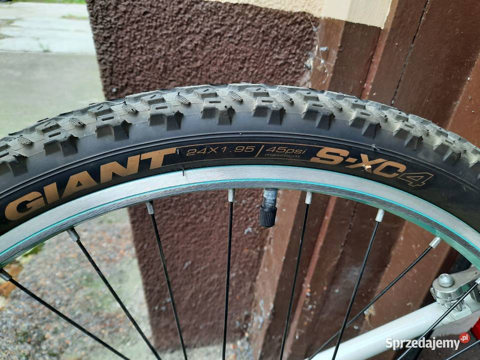 RowerROWER GIANT 17 ENCHANT 2 600 Dziecięce Szczecin