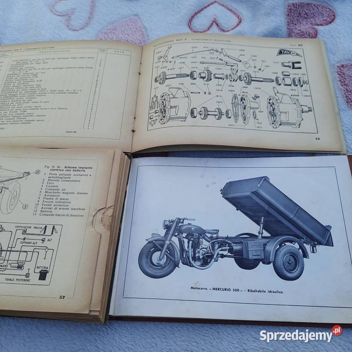 Gilera Mercurio 500km Kurzętnik