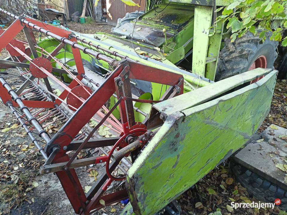 Claas mercator senator 70 nieuszkodzony Pęchów