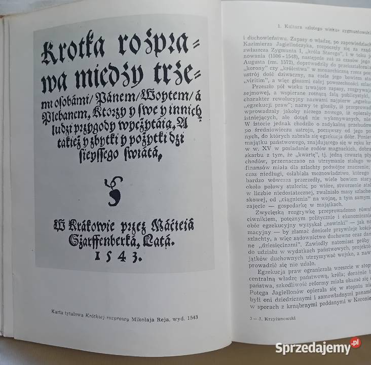Julian Krzyżanowski Dzieje literatury polskiej Antyki, Sztuka, Kolekcje Koźminek