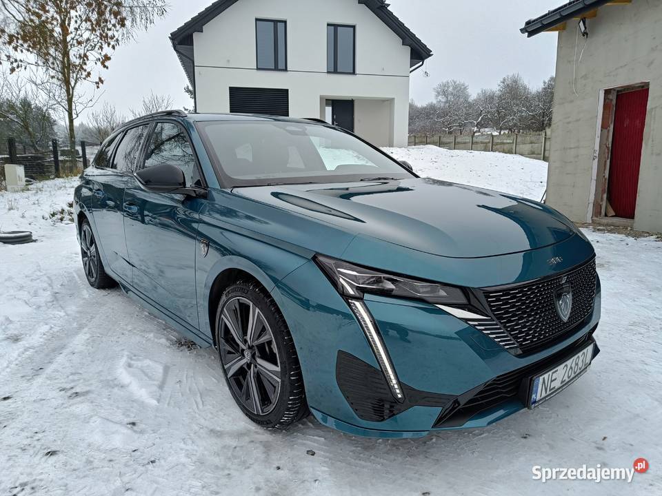 15 Salon 1 Właściciel Najbogatsza wyp Niski Gołaczewy