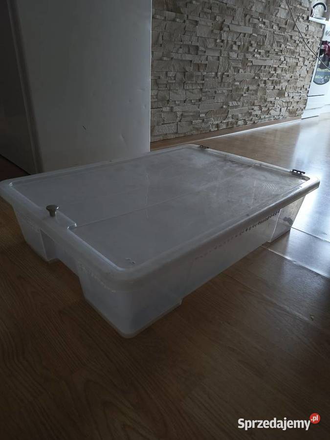 Pudełko box hodowlany terrarium Bielsko-Biała sprzedam
