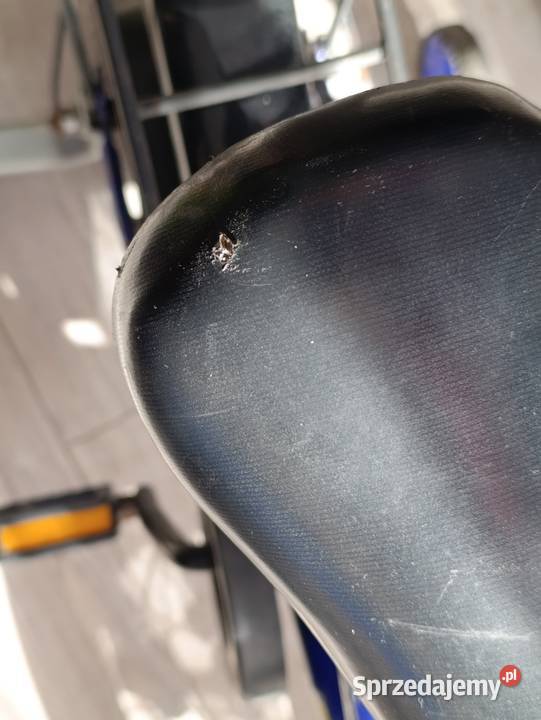 rowerek rower dziecięcy mały sprzedam Poznań