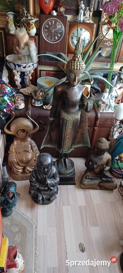 BUDDY najwyższa 118 najniższa 44 nie gips nie inny kolor wielkopolskie Poznań