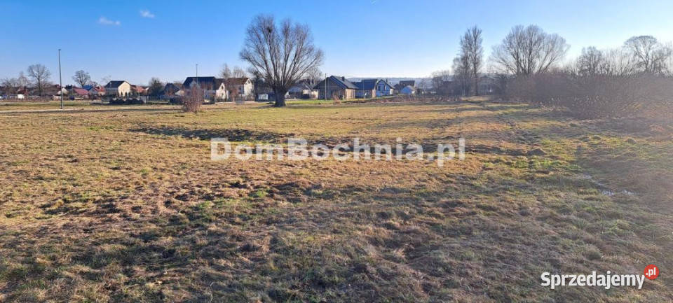 Grunt 3084 metry Jodłówka