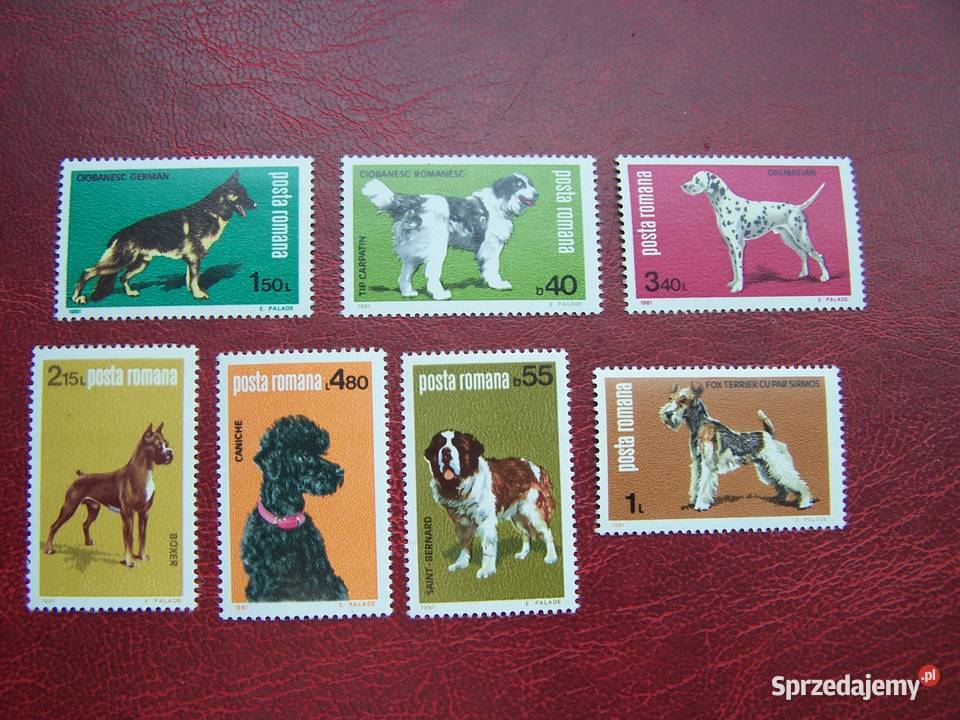 Rumunia 1981 MNH Mi 3762 Filatelistyka Antyki, Sztuka, Kolekcje Tychy