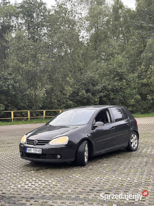Volkswagen Golf V 16 102 Benzyna Zadbany warmińsko-mazurskie Mikołajki