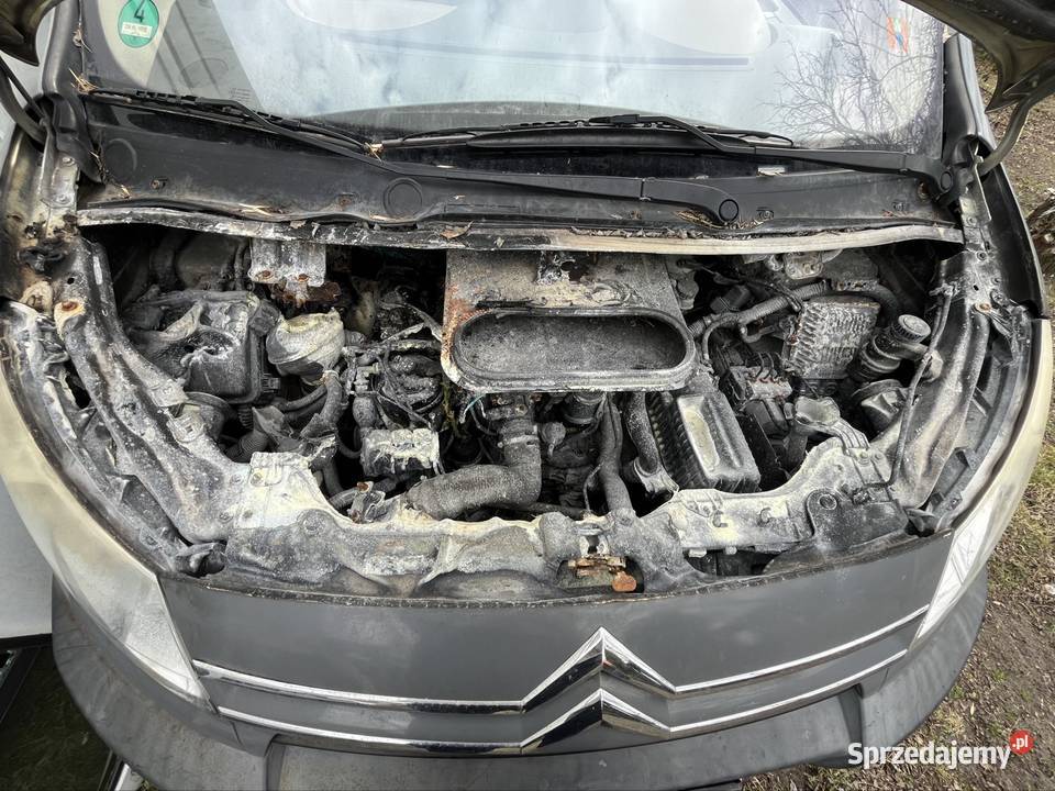 Citroen Jumpy Fiat Scudo Peugeot Expert na Poddębice