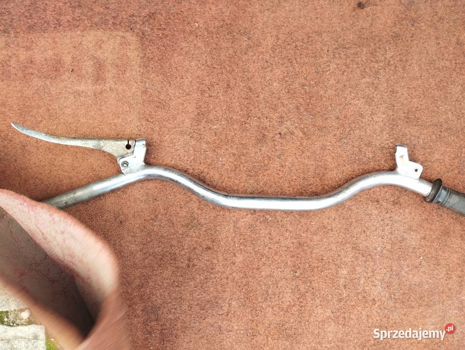 PANNONIA PANNONIA kireownica Głogów