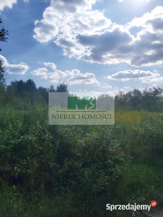DO SPRZEDAŻY DZIAŁKA W WOLI ZARCZYCKIEJ Z WZ polna podkarpackie Wola Zarczycka
