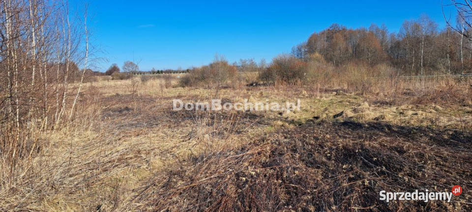 Działka Borek 4572m2