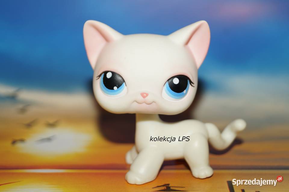 LPS Littlest Pet Shop shorthair 64 oryginalny Rybnik sprzedam