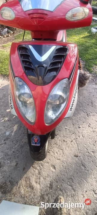 Sprzedam wszystko to co na zdjęciach Pińczów