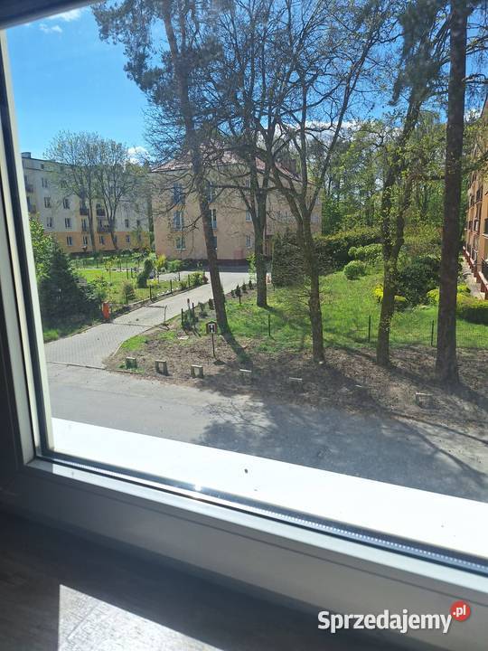 Syndyk sprzeda lokal mieszkalny w Gdyni Babie 8854zł/m2 Gdynia