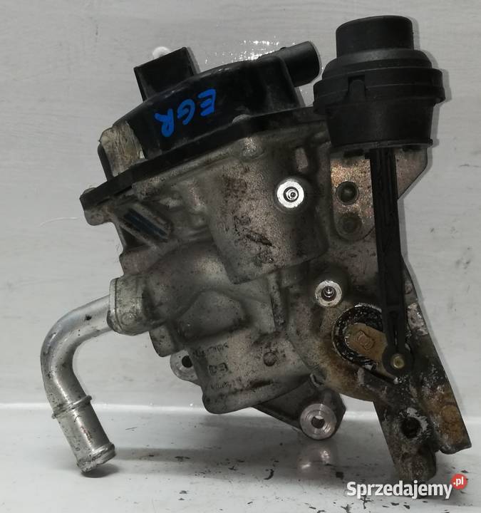 Zawór EGR VW T5 20 TDI 03L131512Q Suchedniów