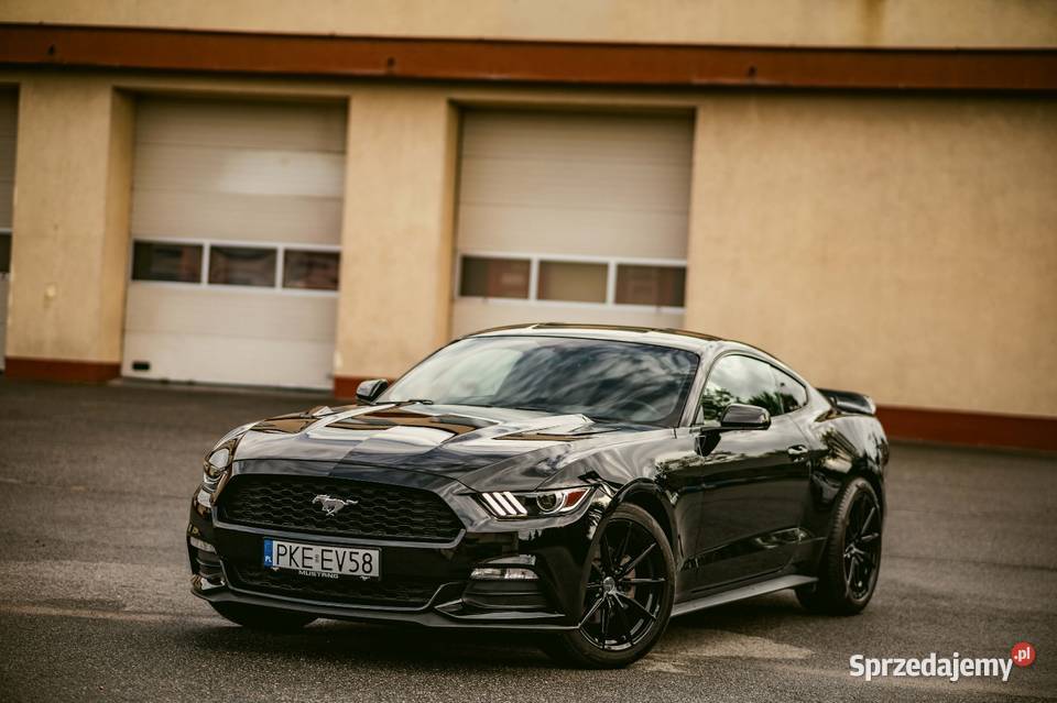 Ford Mustang 37l V6 elektrochrom. lusterko wst. Bralin