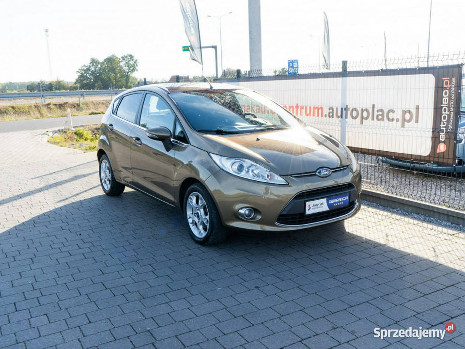 Ford Fiesta Mk7 2008 Lipówki
