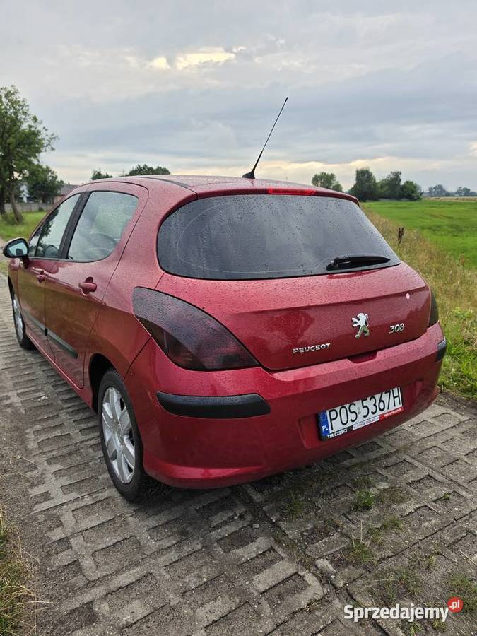 Peugoet 308 wielkopolskie Odolanów