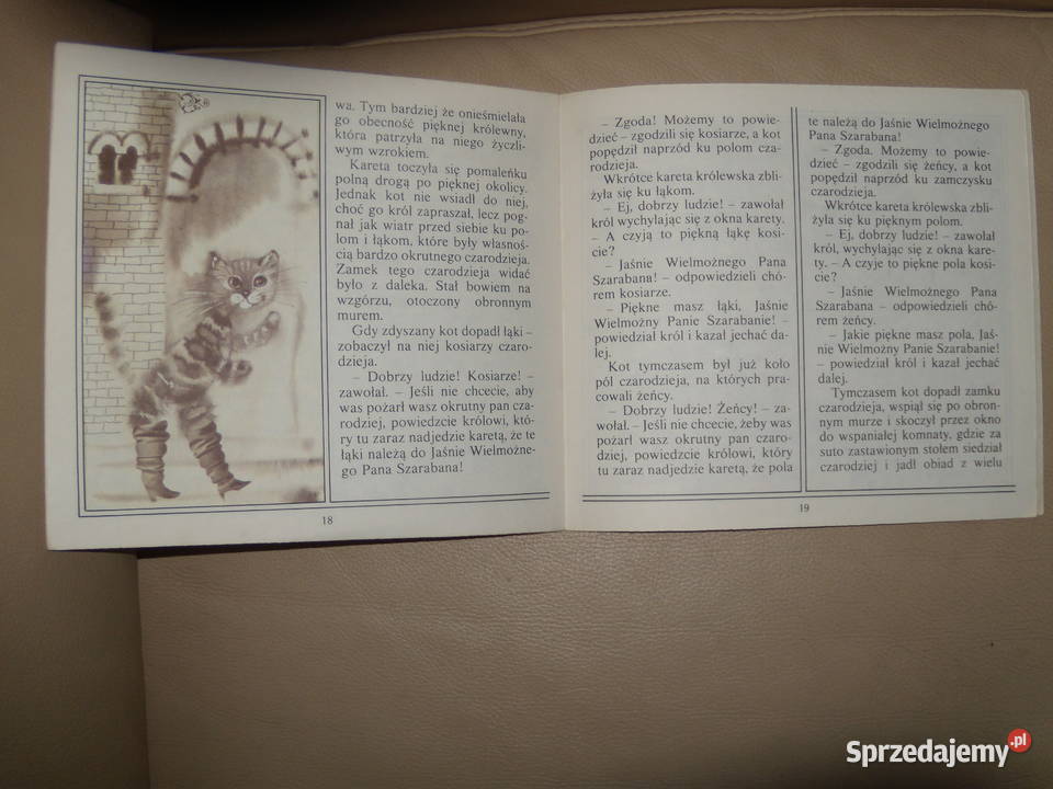 Kot w butach Hanna Januszewska