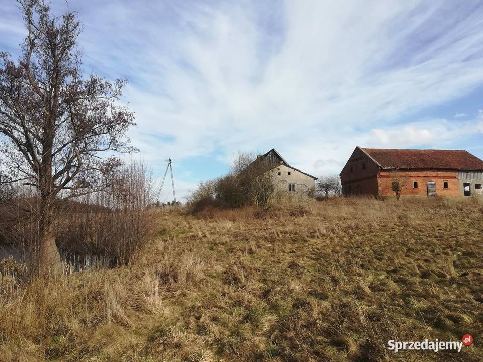 Siedlisko do rozbiórki 205 ha duży staw Tolniki utwardzona warmińsko-mazurskie Dobre Miasto
