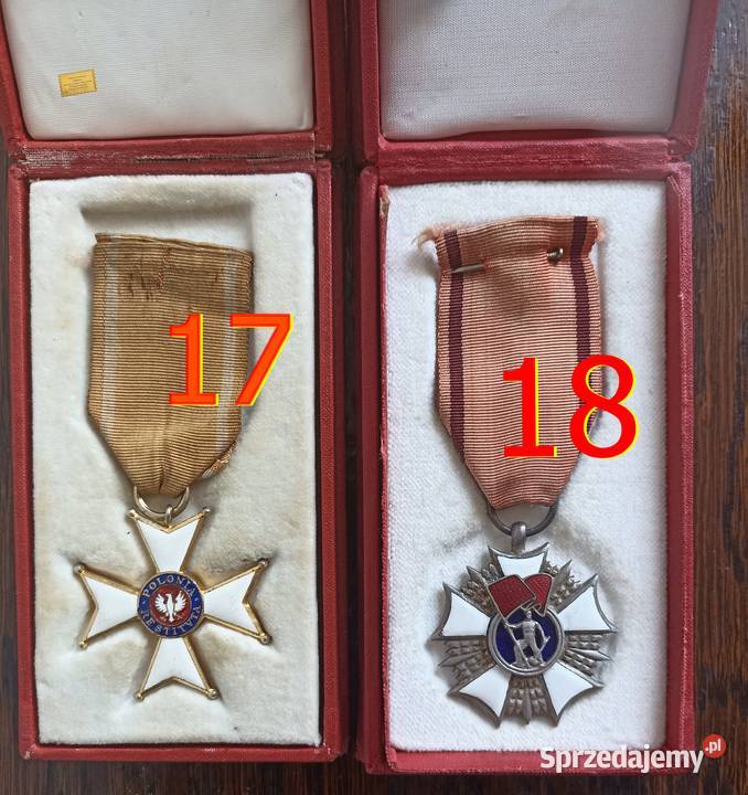 Medal Odznaczenie Order Krzyż Zasługi Sosnowiec