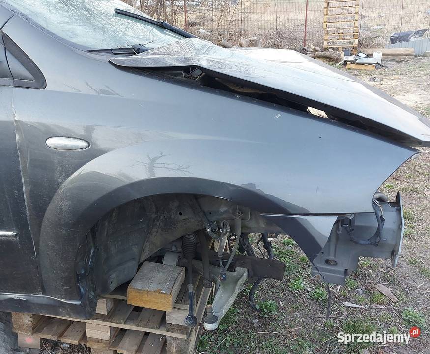 Blotnik Płońsk sprzedam