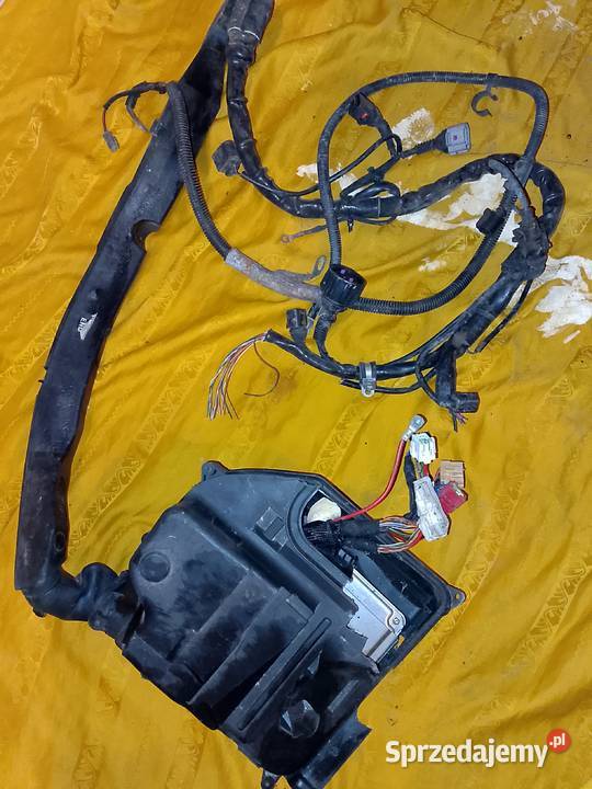 komputer ECU obudowa wiązka Audi A4 B6 osobowe Komputery Krosno