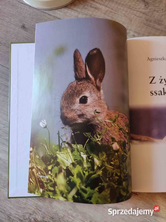 Książka Z życia ssaków Agnieszka i Włodek Pozostałe Rzeszów