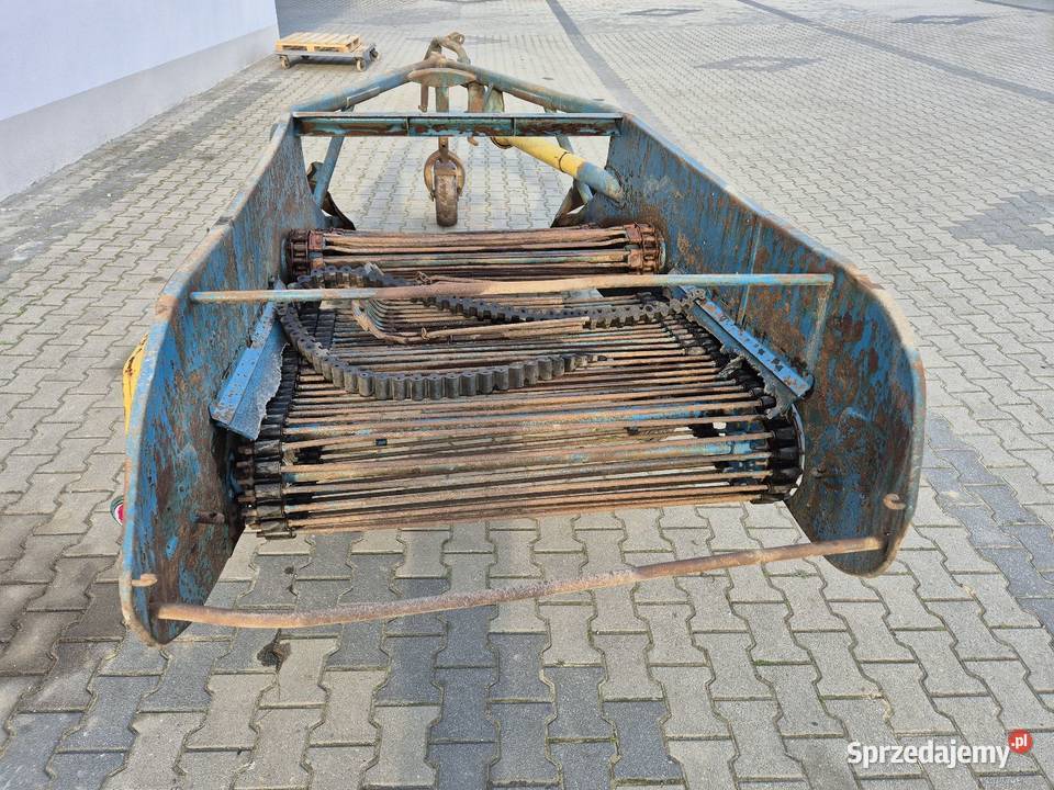 Kopaczka elewatorowa do ziemniaków Kowale