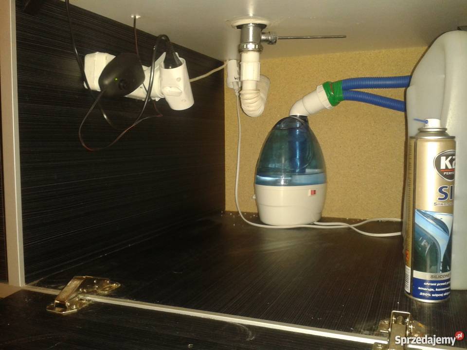 Terrarium legwana iguany duże ozdoba domu lokalu Przemyśl