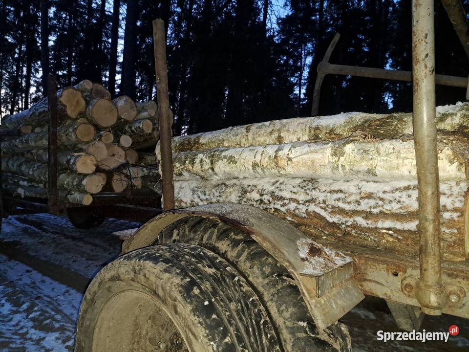 Drewno opałowe brzoza Radostowice
