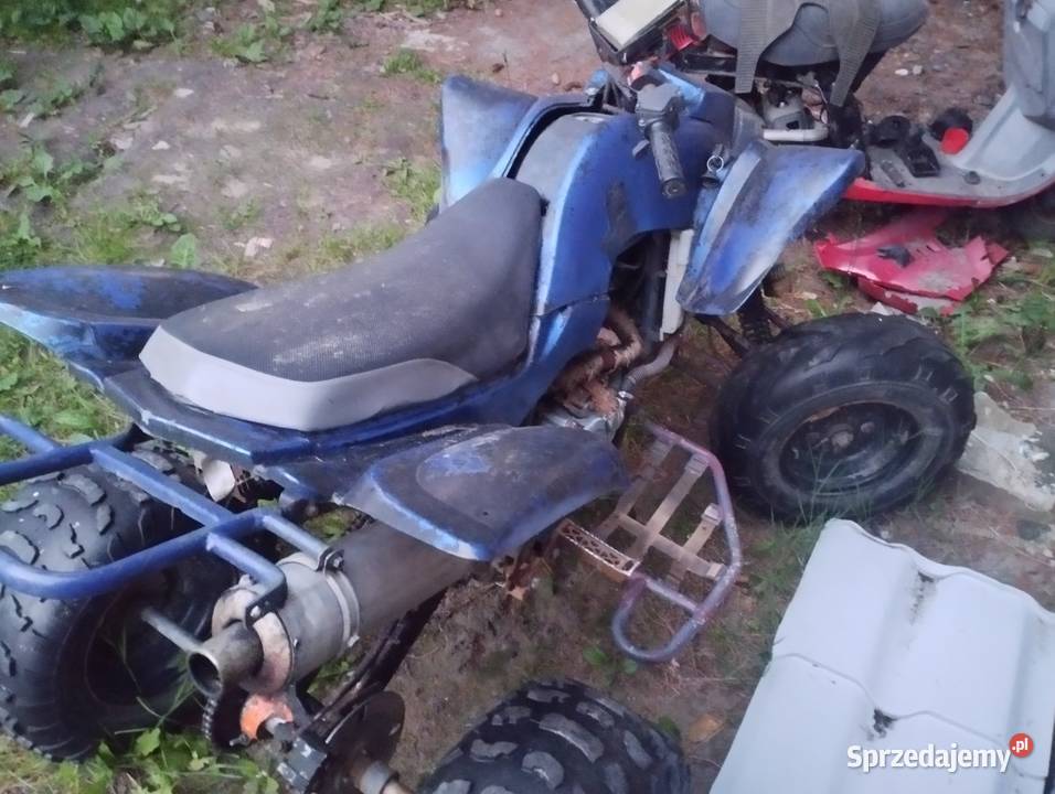 Bashan 250 ciecz Jarosławiec