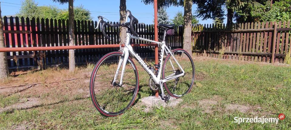 Rower szosowy Giant Defy kolarka szosówka podkarpackie Nowa Dęba