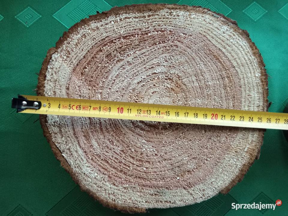 Duży krążek z naturalnego drewna