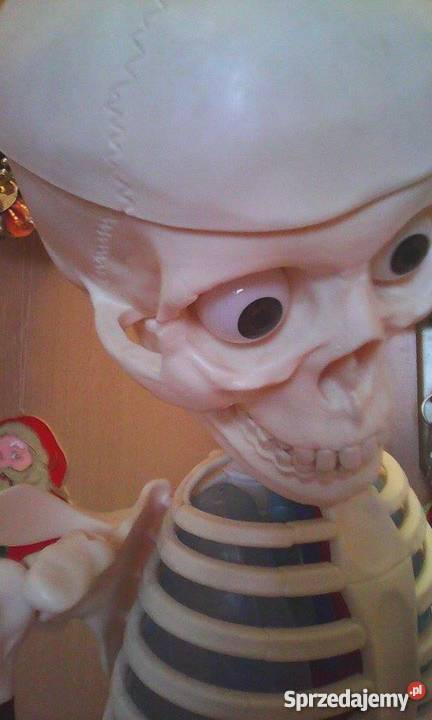 szkielet człowieka z narządami i stojakiem Pozostałe Pozostałe