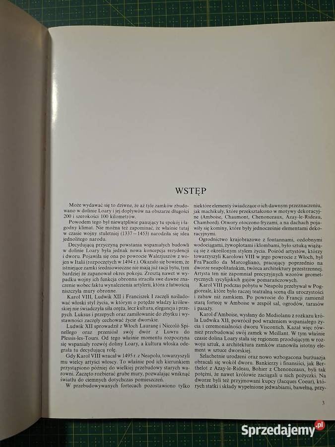 Złota księga Zamki Loarą Bonechi sprzedam