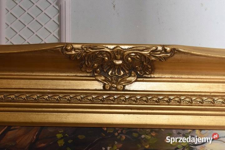 Rodzina Kaczek Kaczki Kaczka Złota Rama Obraz Obrazki i obrazy Kraków