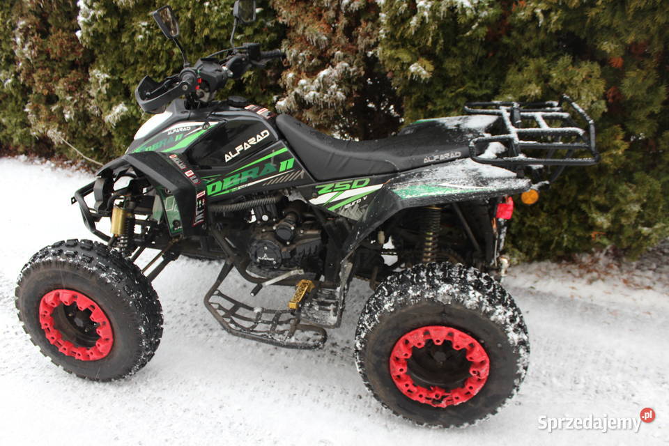 Quad 250 Cobra II 2021 przebieg 420 Goleniów