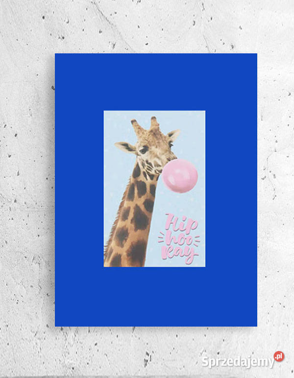 żyrafa obrazek A4 smieszny plakat z żyrafą zoo wielokolorowy pomorskie Gdańsk
