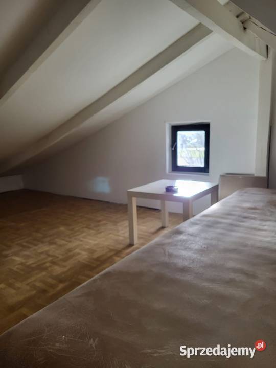 Ogródek Działkowy Rod Ślązaczka Mysłowice 278m2 śląskie