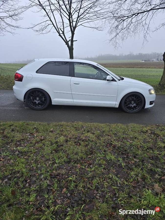 a3 8p 2012 16 tdi cr Hatchback Rojów