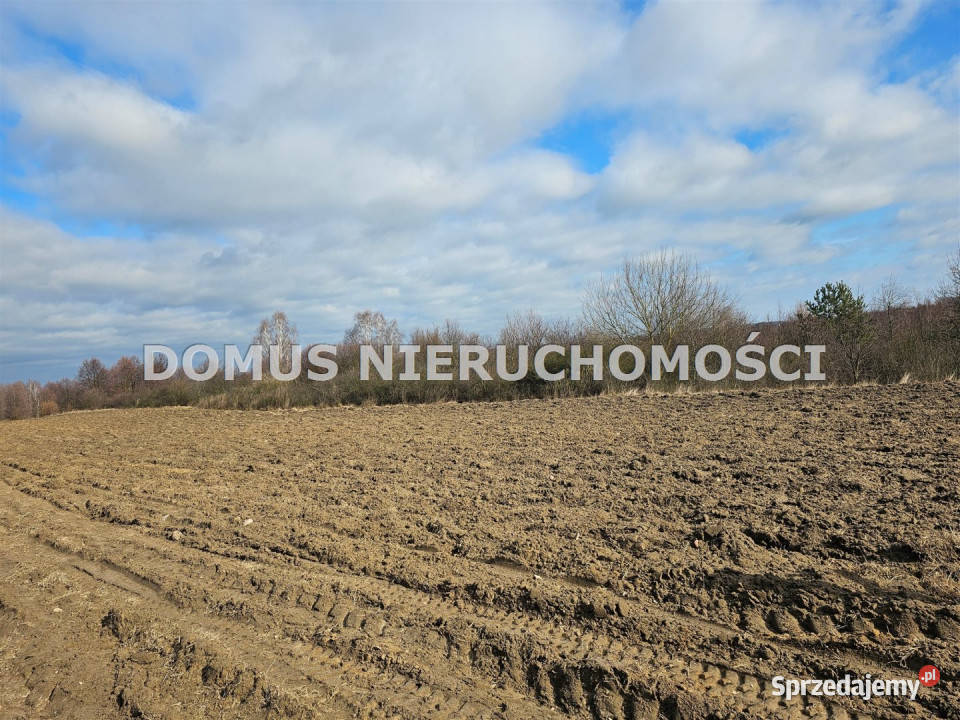 Grunt 1500m2 Rozworzyn Sprzedaż