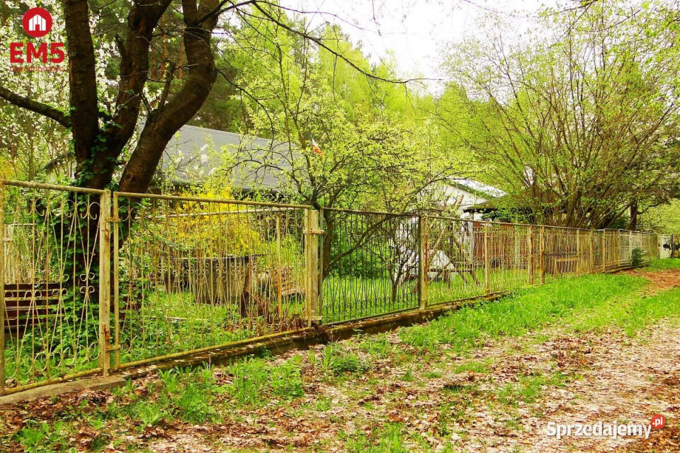 sprzedaży gruntu 8316m2 Rafałówka sprzedam