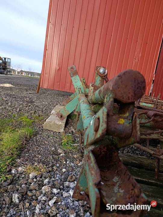 Brony 5 Łuszczów Drugi