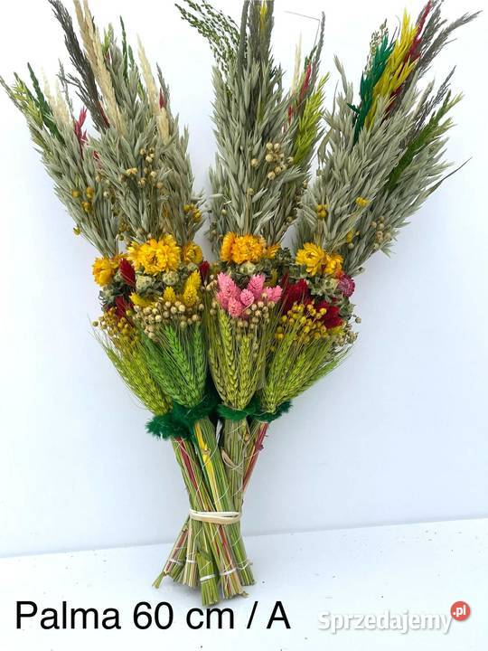 PRODUCENT PALM WIELKANOCNYCH HURT NAJNIŻSZA