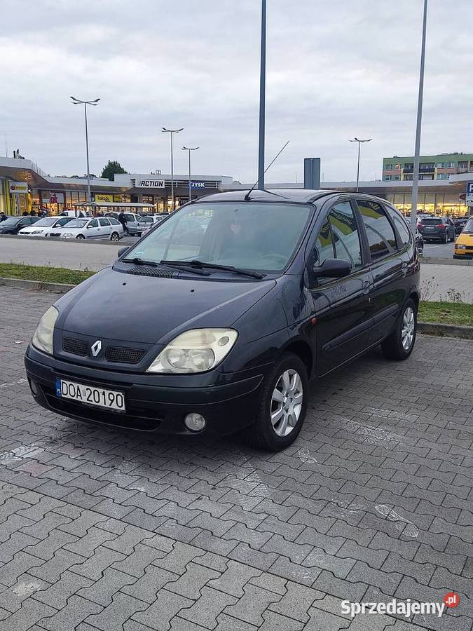 Scenic Renault Oława