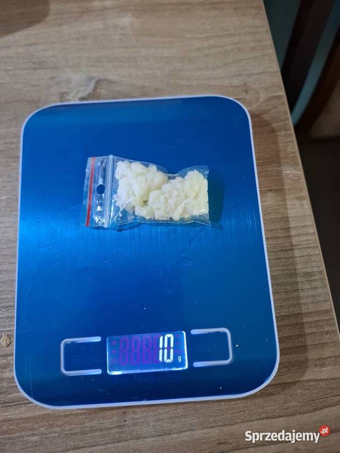 PROMOCJAGrzybek tybetański ziarna