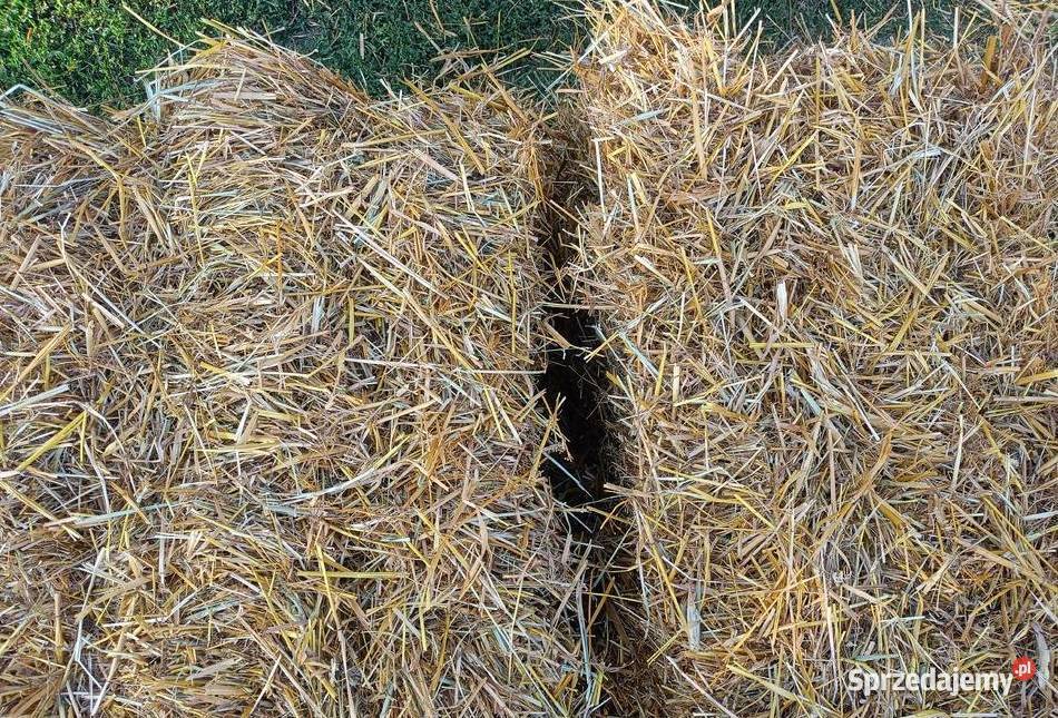 Słoma owsiana kostki kostka ekologiczna zbiór