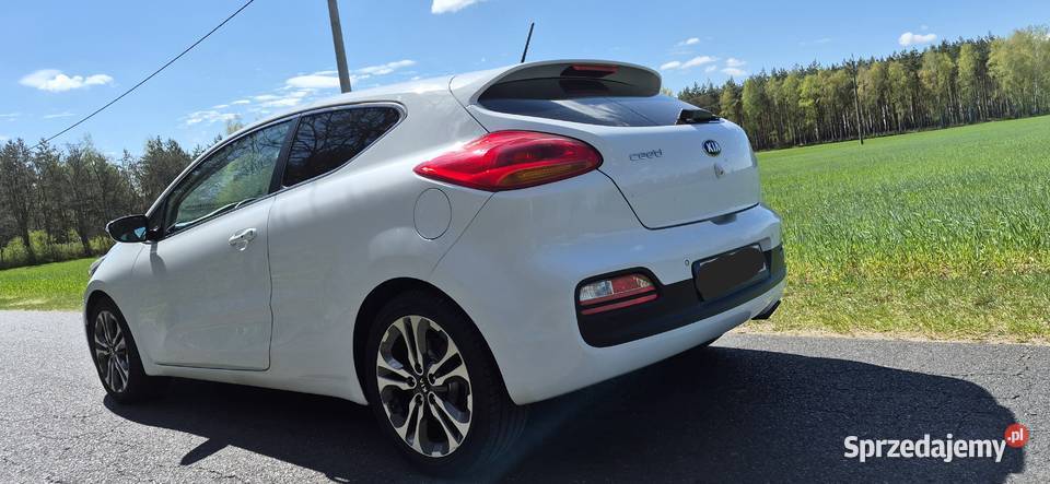 Kia proceed II 2015r 6 biegów Procee'd wielkopolskie Witkowo